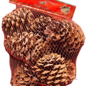 cinnamon pine cones