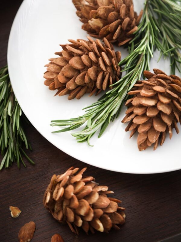 are pine cones edible