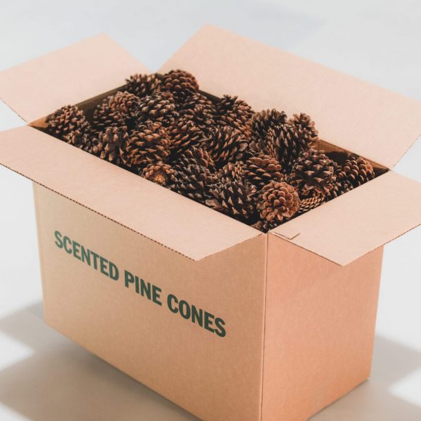 large-box-scented-pine-cones-2-scaled-e1598681656619-610x610